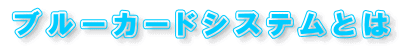 �u���[�J�[�h�V�X�e���Ƃ�